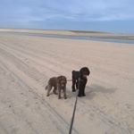 Profile Picture of Julia Bramble (@jules_b74) on Instagram