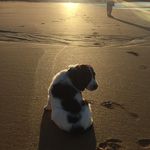 Profile Picture of Clayton Hinds (@blackbluff_16) on Instagram