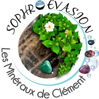 Profile Picture of Les Minéraux De Clément (@MinerauxDe) on Twitter