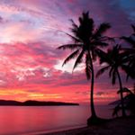 Peter - Instagram Profile Picture of Peter (@peter.lydon1) on Instagram