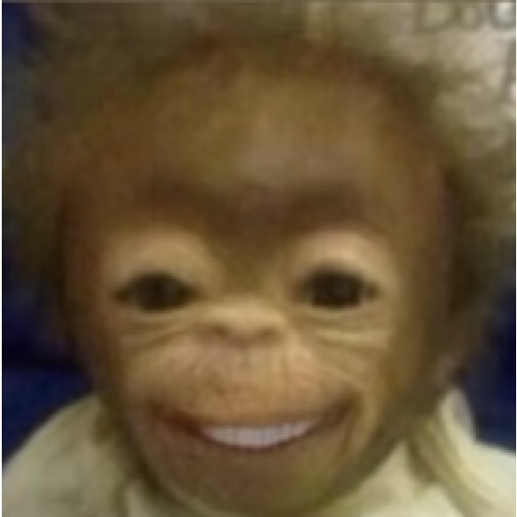 Profile Picture of Alex Catacora (@alexcatacora3) on Poshmark