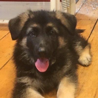 Profile Picture of Mason Wagner (@SwagnerMas) on Twitter