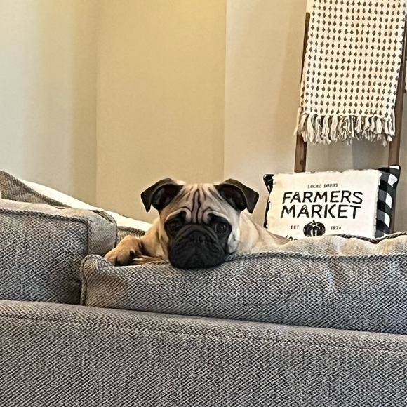 Profile Picture of Andrea Crank (@amcran01) on Poshmark