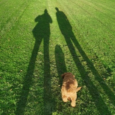 Profile Picture of Donna-Marie Foster (@FosterLuggers) on Twitter