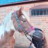Profile Picture of Eva Kirby (@@eva_showjumpingg) on Tiktok