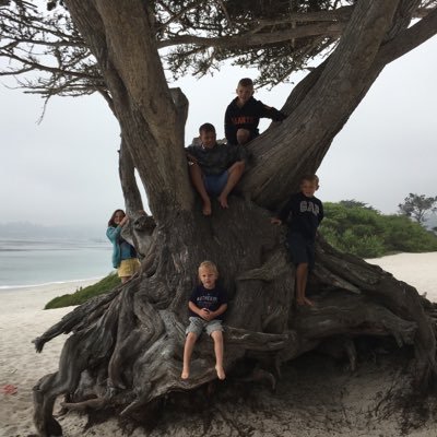 Profile Picture of Peter Bennett (@pantry75) on Twitter