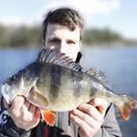Profile Picture of Alex Moberg (@moberg.alex) on Instagram