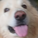 Profile Picture of Penny Toogood (@penny.toogood.98) on Facebook