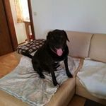 Profile Picture of Elfi Krempler (@elfikrempler) on Instagram