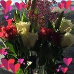 Profile Picture of Janet Boyd (@janetboyd7737) on Instagram