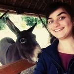 Profile Picture of Stacy Burton (@stacyburton6270) on Instagram