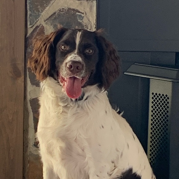 Profile Picture of Whitney Ivarson (@whitneyivarson) on Poshmark