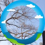 Profile Picture of Adam Gilchrist (@Adam-Gilchrist) on Facebook