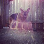 Profile Picture of Paul Dubinski (@pauldubinski) on Instagram