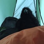 Profile Picture of Wyatt Clark (@contemplations_of_crow) on Instagram