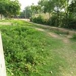 Profile Picture of Nirmalya Chatterjee (@nirmalya.chatterjee.5661) on Instagram