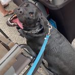 Profile Picture of Alexia Schmidt (@alexia.schmidt.9822) on Facebook