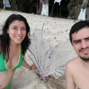 Profile Picture of Braulio Lara (@branibal) on Twitter