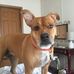 Profile Picture of Jeannine Tuttle (@jeannine.tuttle.90) on Facebook