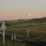 Profile Picture of joe Donnelly (@joe.donnelly) on Instagram