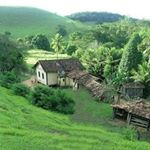 Profile Picture of Jaime Manrique Collazos (@manriquecollazosjaime) on Instagram