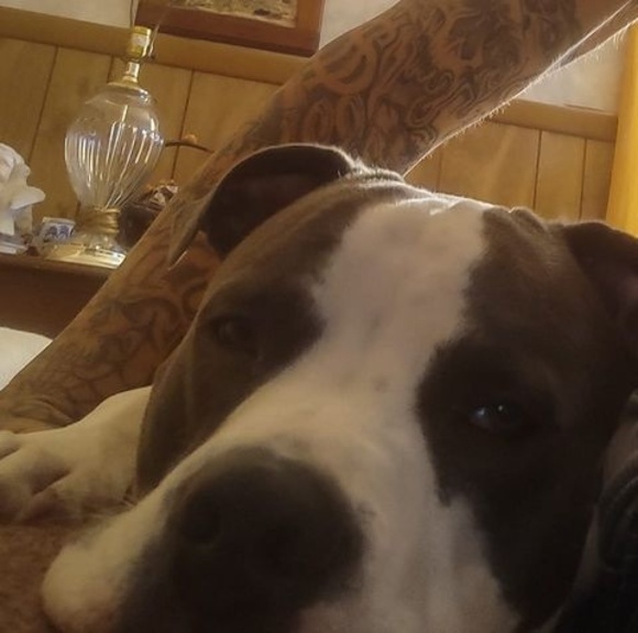 Profile Picture of Brandon Malone (@maloneb1488) on Poshmark