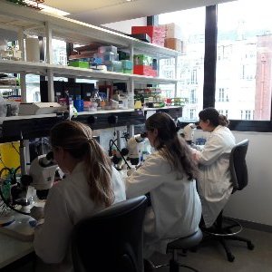 Profile Picture of Bardin Lab (@BardinLab) on Twitter