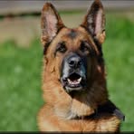 Profile Picture of Scott Pepper (@Scott-Pepper) on Facebook