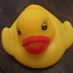 Profile Picture of Ducky McDuck-Face (@thisisquackers) on Instagram