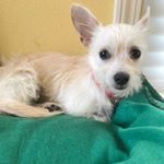 Profile Picture of Joanne Swenson (@jo_swenson) on Instagram