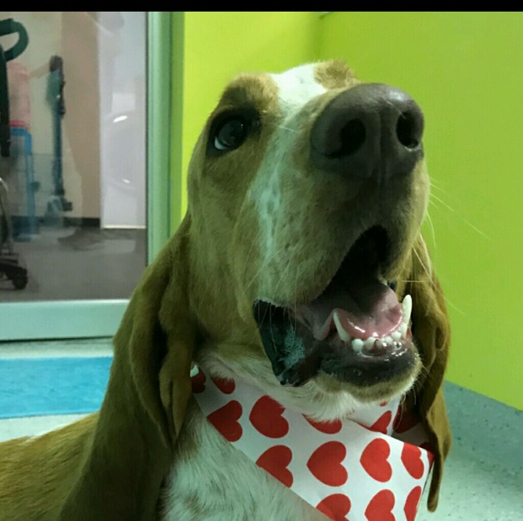 Profile Picture of Susan Ames (@amessusan) on Poshmark