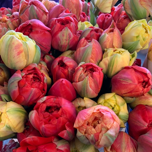 Profile Picture of Marion Stewart (@marionstewart1) on Poshmark