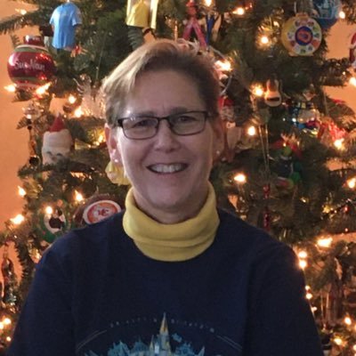 Profile Picture of Sue Nan Abrahamson (@sna1223) on Twitter