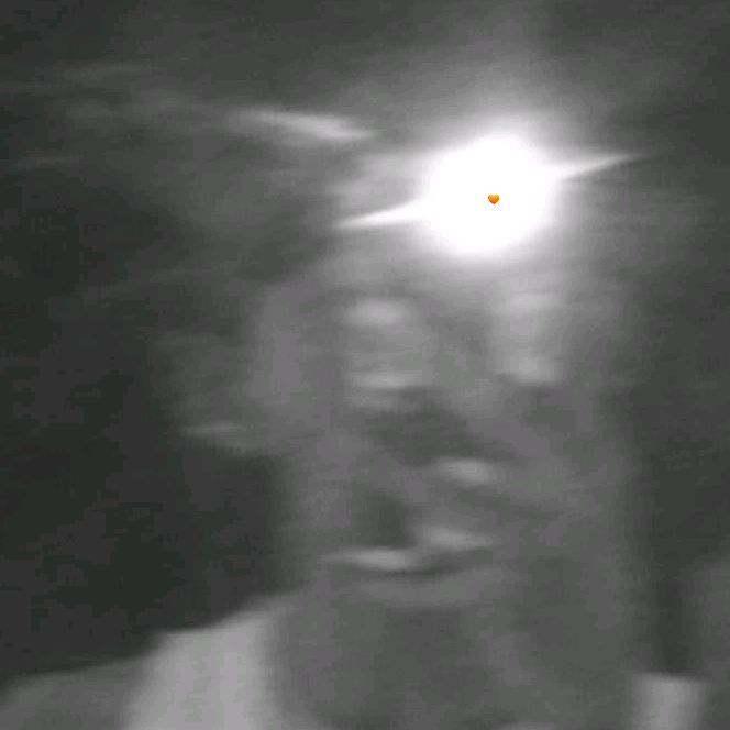 Profile Picture of 🙊🙊🙊 (@david_rosse_) on Tiktok