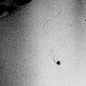 Profile Picture of Shawn Mckinstry (@352428937) on Myspace