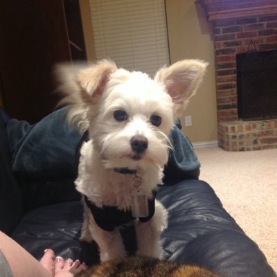 Profile Picture of Robin Price (@robinprice822) on Twitter