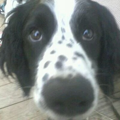 Profile Picture of John Pikula (@JR_Pikula) on Twitter