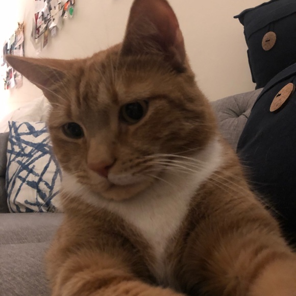 Profile Picture of Sandrine Degryse (@sd116) on Poshmark