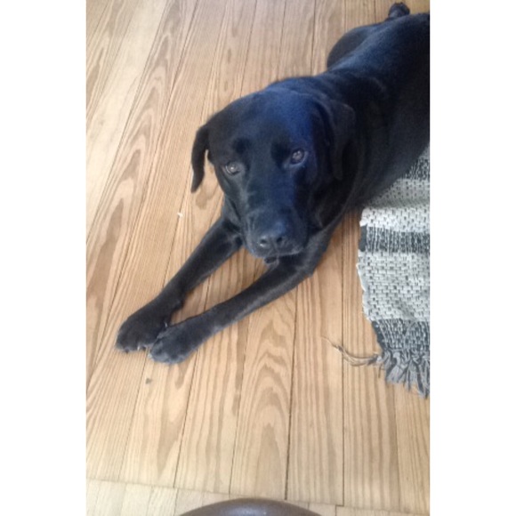 Profile Picture of Camryn Horstman (@camryn17) on Poshmark