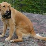 Marlene Gallagher - Instagram Profile Picture of Marlene Gallagher (@marlenegallagher8) on Instagram