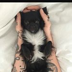 Profile Picture of Tamara Reith (@tami_1301) on Instagram