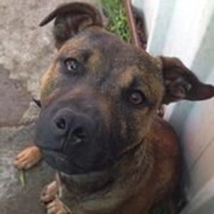 Profile Picture of Catherine O'connor (@catherine.oconnor2) on Myspace