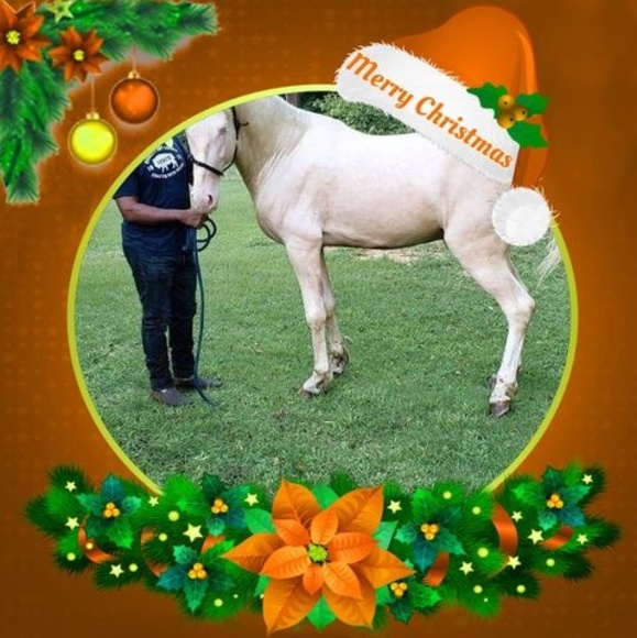 Profile Picture of Travis Johnson (@travisjohnso119) on Poshmark