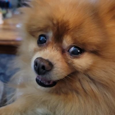 Profile Picture of Rebekah McCoy (@Rebekah30709907) on Twitter