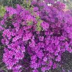 Profile Picture of Joseph Cox (@Joseph-Cox) on Facebook