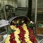 Profile Picture of ralph callahan (@callahan.ralph) on Instagram