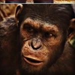 Profile Picture of Gavin Steiner (@gsteiner4206) on Instagram