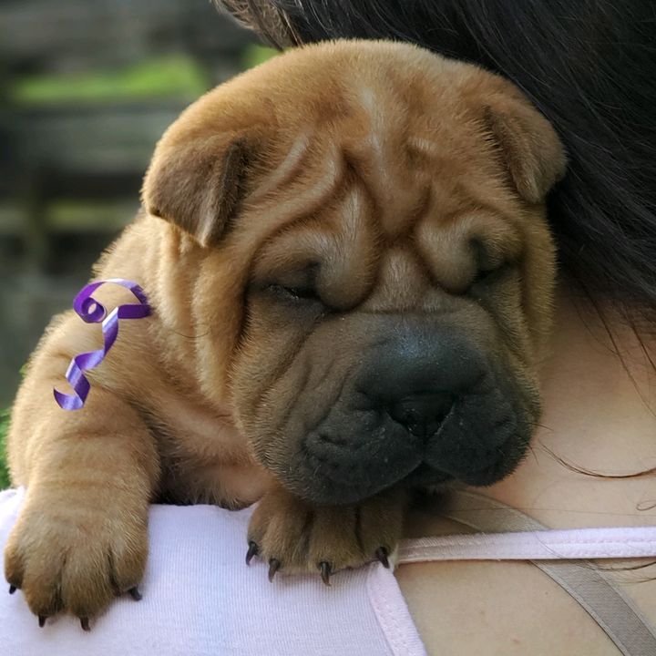 Profile Picture of jason__born (@jason__born) on Tiktok