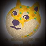 Profile Picture of Lily (@lily.starr.terry) on Instagram