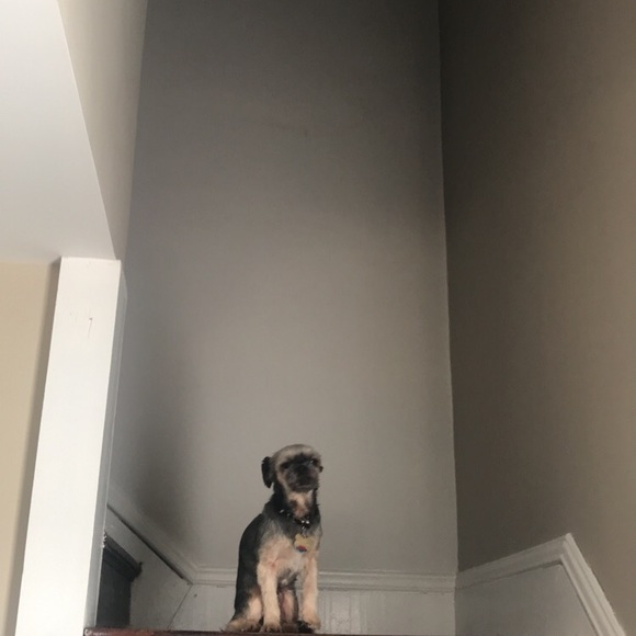 Profile Picture of Alana Hamideh (@alanahamideh) on Poshmark